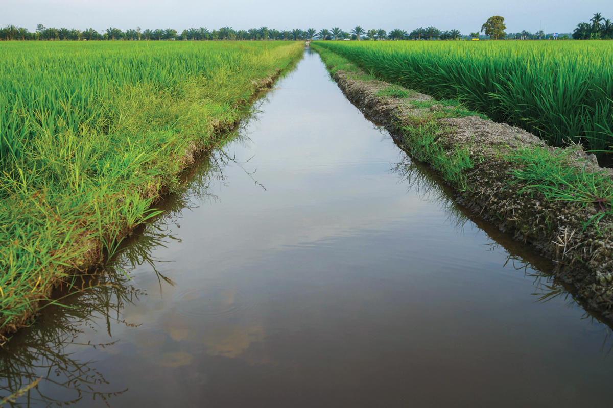 Irrigation Infrastructure Monitoring under Accelerated Irrigation Benefit Programme